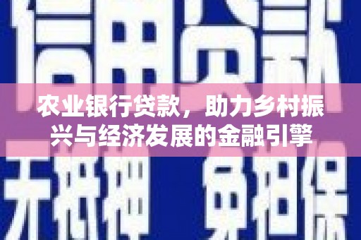 泸水农业银行贷款，助力乡村振兴与经济发展的金融引擎