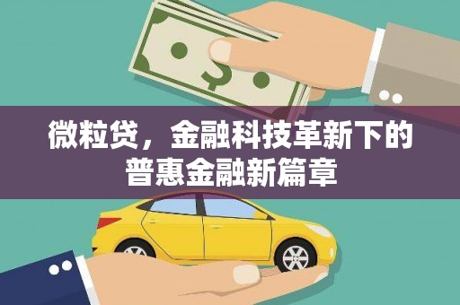 泸水微粒贷，金融科技革新下的普惠金融新篇章