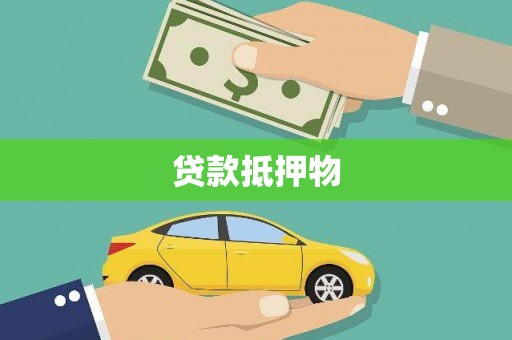泸水贷款抵押物