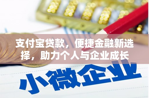 泸水支付宝贷款，便捷金融新选择，助力个人与企业成长