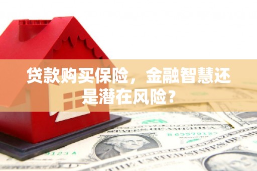 泸水贷款购买保险，金融智慧还是潜在风险？