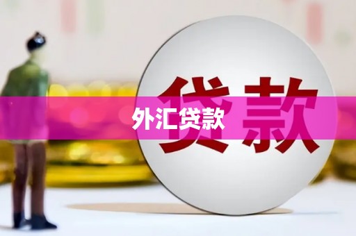 泸水外汇贷款
