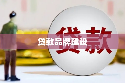 泸水贷款品牌建设