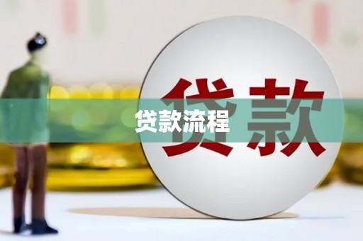 泸水贷款流程