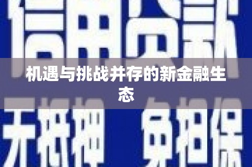 泸水机遇与挑战并存的新金融生态