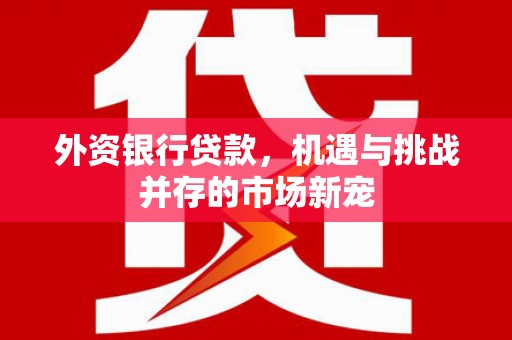 泸水外资银行贷款，机遇与挑战并存的市场新宠