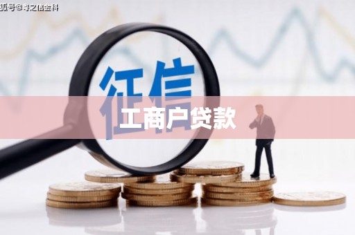 泸水工商户贷款