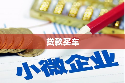 泸水贷款买车