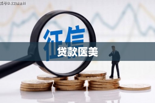 泸水贷款医美