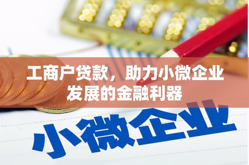 泸水工商户贷款，助力小微企业发展的金融利器