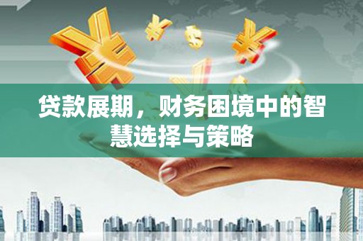 泸水贷款展期，财务困境中的智慧选择与策略