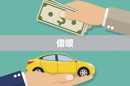 泸水借呗