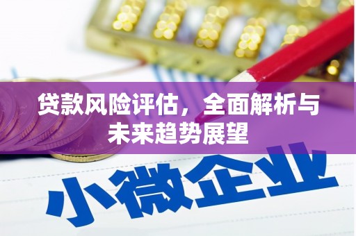 泸水贷款风险评估，全面解析与未来趋势展望