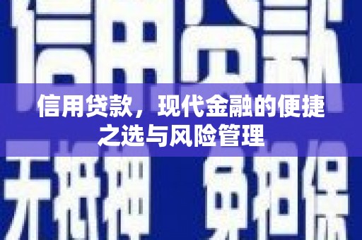 泸水信用贷款，现代金融的便捷之选与风险管理