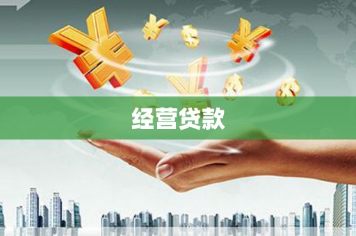 泸水经营贷款