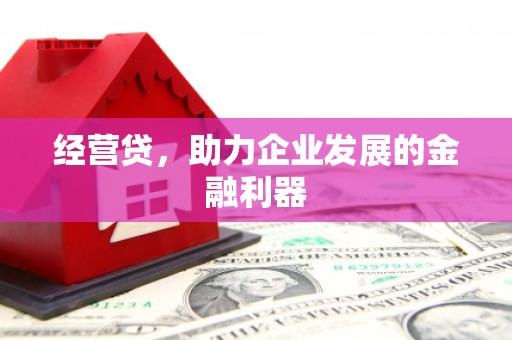 泸水经营贷，助力企业发展的金融利器