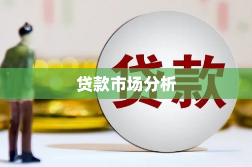 泸水贷款市场分析