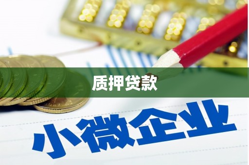 泸水质押贷款