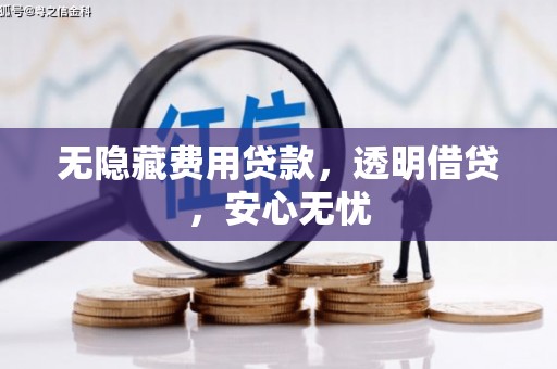 泸水无隐藏费用贷款，透明借贷，安心无忧