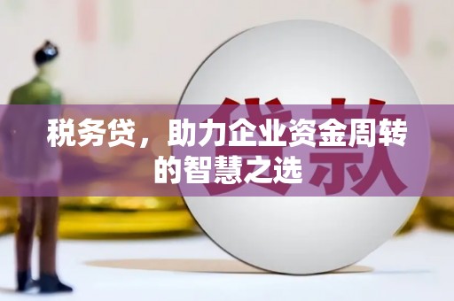 泸水税务贷，助力企业资金周转的智慧之选