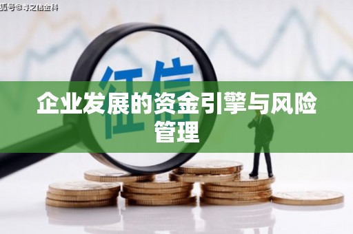 泸水企业发展的资金引擎与风险管理