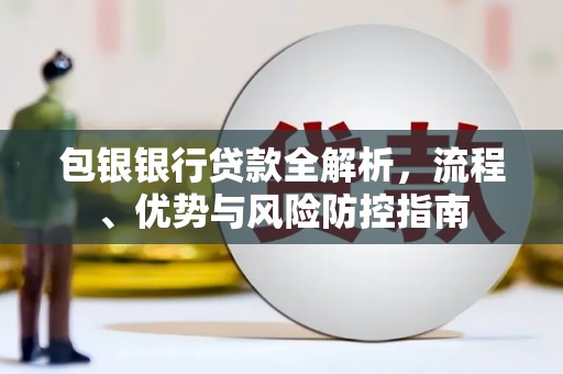 泸水包银银行贷款全解析，流程、优势与风险防控指南
