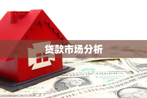 泸水贷款市场分析