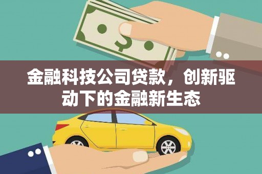 泸水金融科技公司贷款，创新驱动下的金融新生态