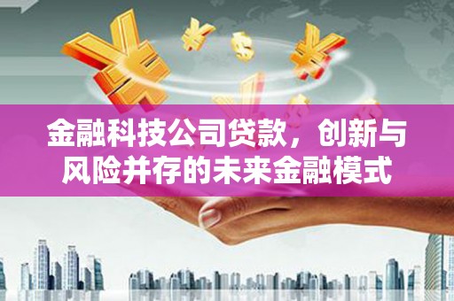 泸水金融科技公司贷款，创新与风险并存的未来金融模式