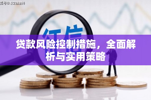 泸水贷款风险控制措施，全面解析与实用策略
