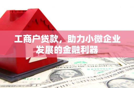 泸水工商户贷款，助力小微企业发展的金融利器