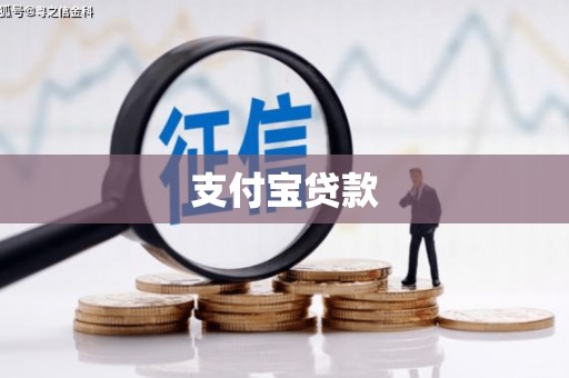 泸水支付宝贷款