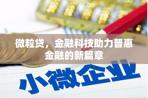 泸水微粒贷，金融科技助力普惠金融的新篇章