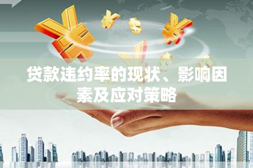 泸水贷款违约率的现状、影响因素及应对策略