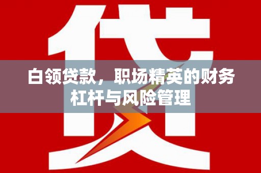 泸水白领贷款，职场精英的财务杠杆与风险管理