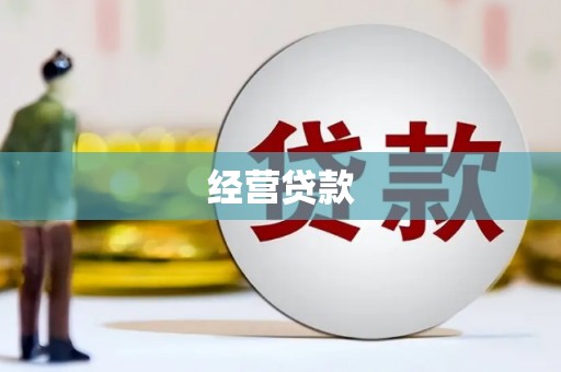 泸水经营贷款