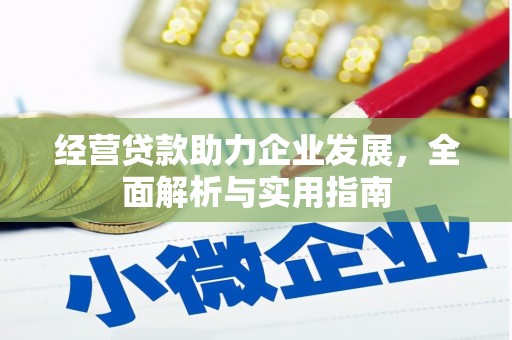 泸水经营贷款助力企业发展，全面解析与实用指南