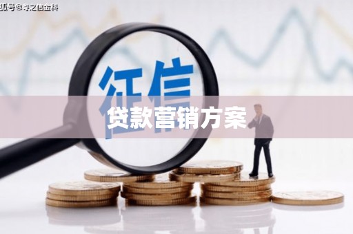 泸水贷款营销方案
