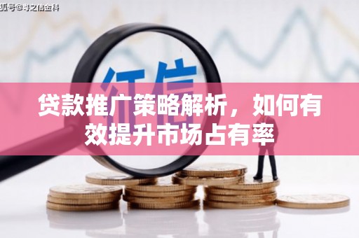 泸水贷款推广策略解析，如何有效提升市场占有率