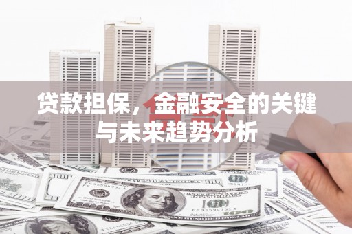 泸水贷款担保，金融安全的关键与未来趋势分析