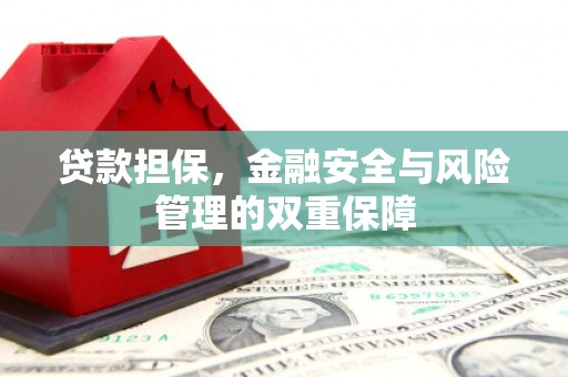 泸水贷款担保，金融安全与风险管理的双重保障