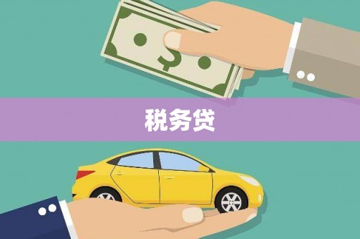泸水税务贷