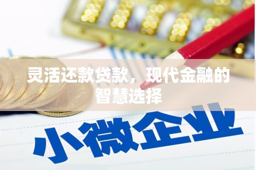 泸水灵活还款贷款，现代金融的智慧选择
