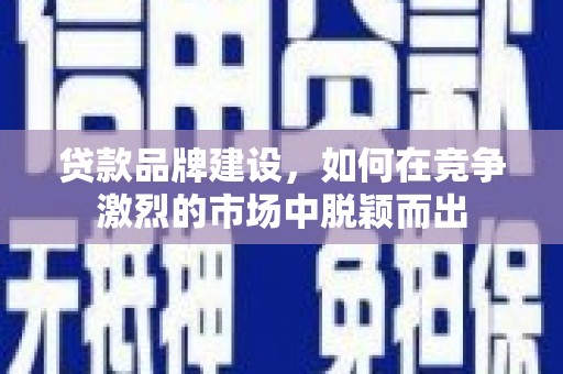 泸水贷款品牌建设，如何在竞争激烈的市场中脱颖而出