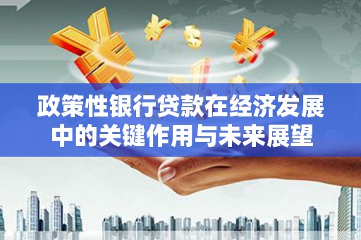 泸水政策性银行贷款在经济发展中的关键作用与未来展望