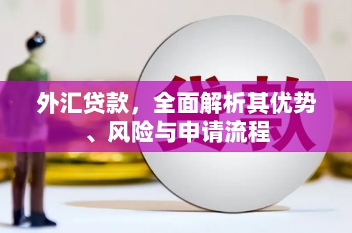 泸水外汇贷款，全面解析其优势、风险与申请流程