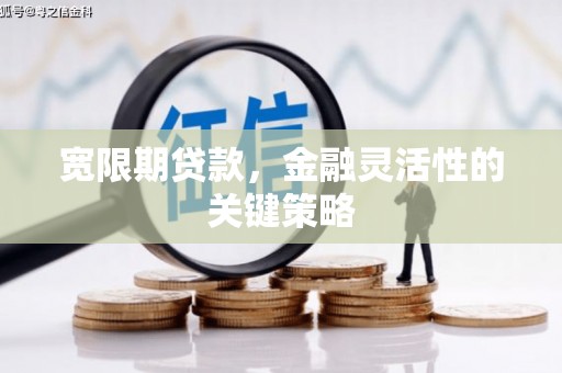 泸水宽限期贷款，金融灵活性的关键策略