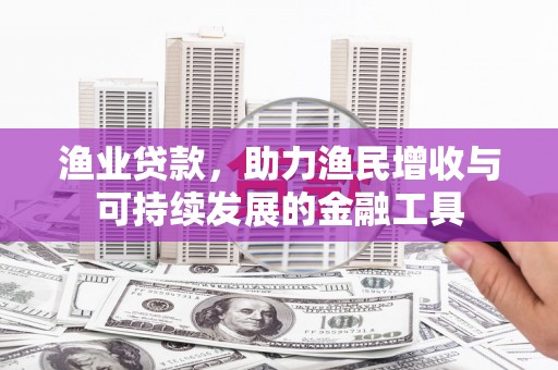 泸水渔业贷款，助力渔民增收与可持续发展的金融工具