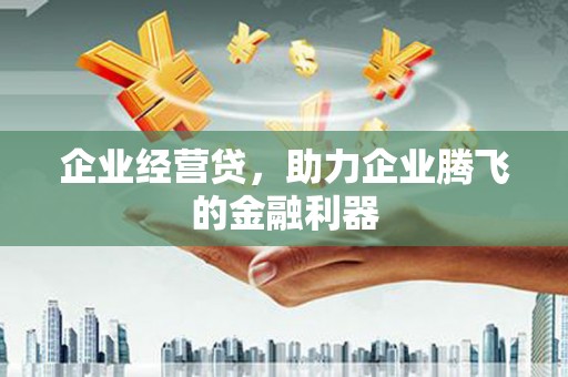 泸水企业经营贷，助力企业腾飞的金融利器