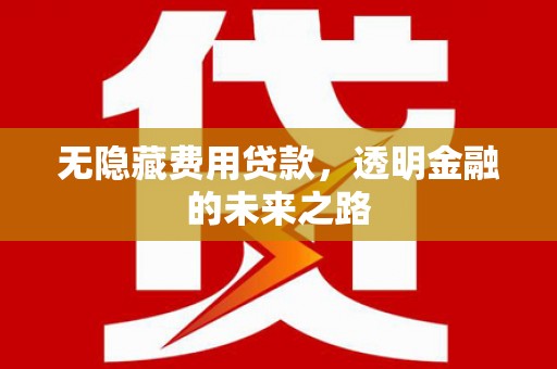 泸水无隐藏费用贷款，透明金融的未来之路